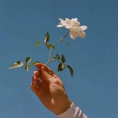 皇战之巅破解游戏下载